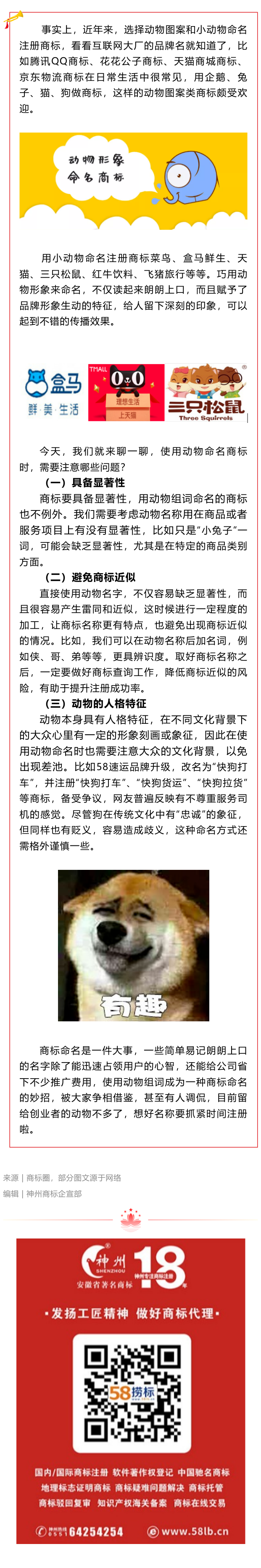 選擇小動物命名商標，需要注意什么呢？